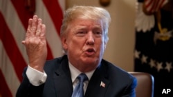 President Donald Trump speaks during a cabinet meeting at the White House, June 21, 2018.