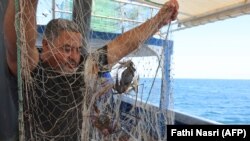 Un pêcheur tunisien a attrapé deux crabes bleus au large de la ville côtière tunisienne de Zarzis le 30 août 2018.