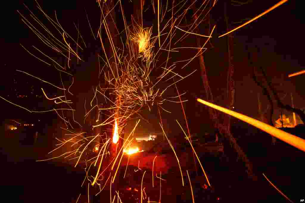 A burned vehicle is seen as wind whips embers from a tree burned by the Lake Hughes fire in Angeles National Forest, north of Santa Clarita, California.