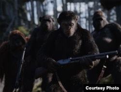 Andy Serkis plays Simian Caesar in "War for the Planet of the Apes." (Courtesy 20th Century Fox)