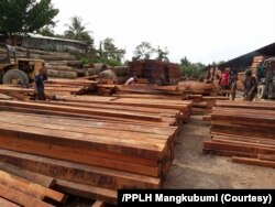 Kayu olahan jenis merbau di dalam gudang perusahaan kayu di Gresik. (Foto: Courtesy/PPLH Mangkubumi)