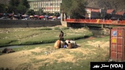 معتادین ډېری وخت د خلکو په منځ کې کوکنار کاروي
