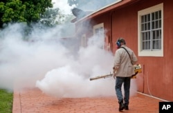 In Miami, Florida, a mosquito control worker sprays pesticide to kill mosquitoes, 2016. (AP Photo)