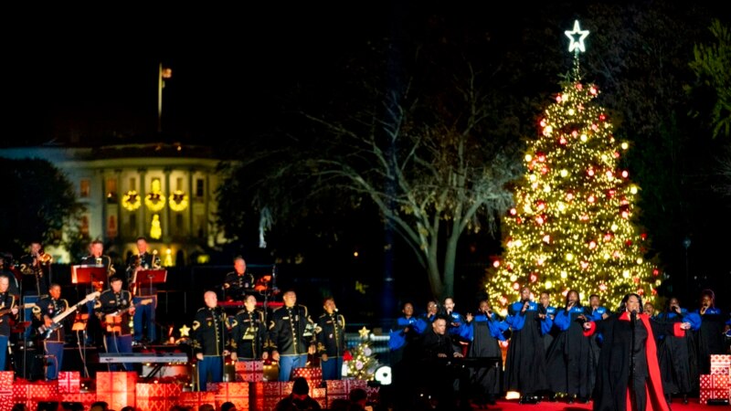 Christmas Tree Buyers Find Lower Supply, Higher Prices