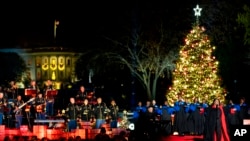 In Photos: White House Bedecked for Christmas 