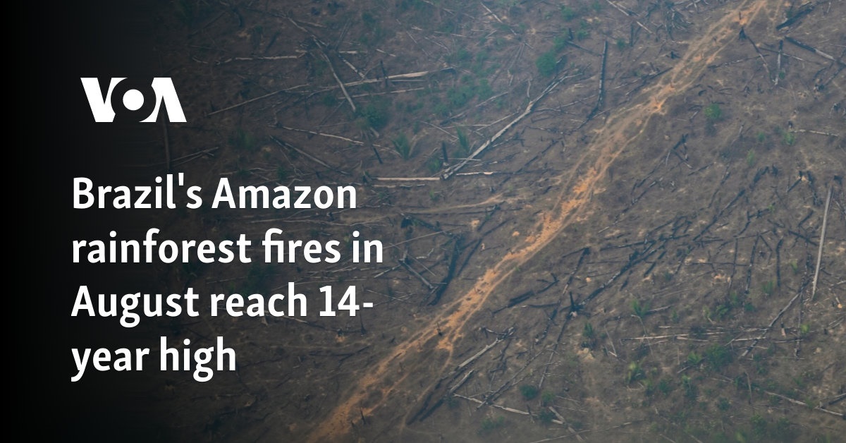 Brazil's Amazon rainforest fires in August reach 14-year high