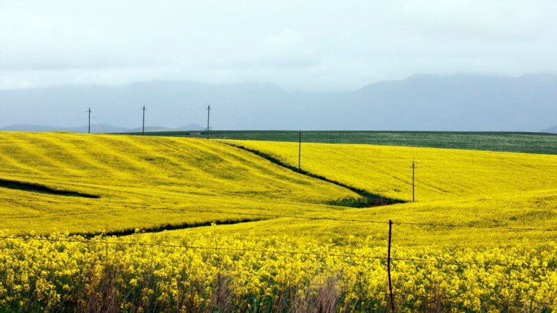 La redistribution des terres divise toujours en Afrique du Sud