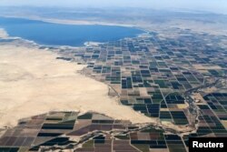 FILE - Agricultural farm land is shown near the Salton Sea and the town of Calipatria, Calif., May 31, 2015.