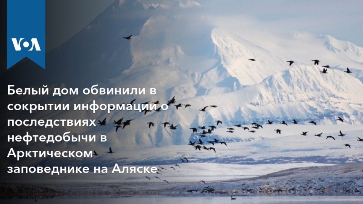 Белый дом обвинили в сокрытии информации о последствиях нефтедобычи в  Арктическом заповеднике на Аляске