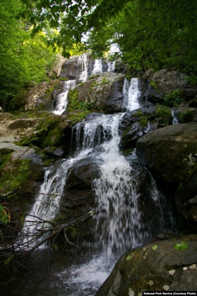 Dark Hollow Falls, Shenandoah National Park