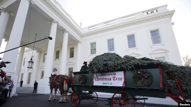La Asociación Histórica de la Casa Blanca le da crédito a Lou Henry Hoover por establecer la costumbre de decorar un árbol oficial en la Casa Blanca.
