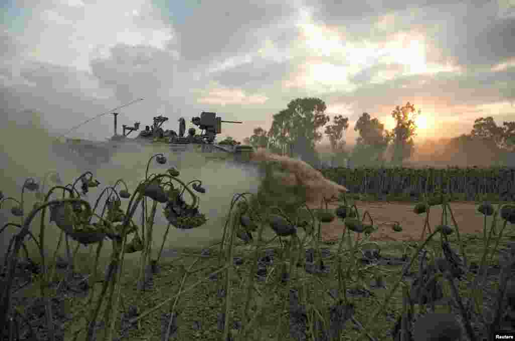 An Israeli soldier rides atop an armored personnel carrier past dried sunflowers after crossing back into Israel from Gaza.