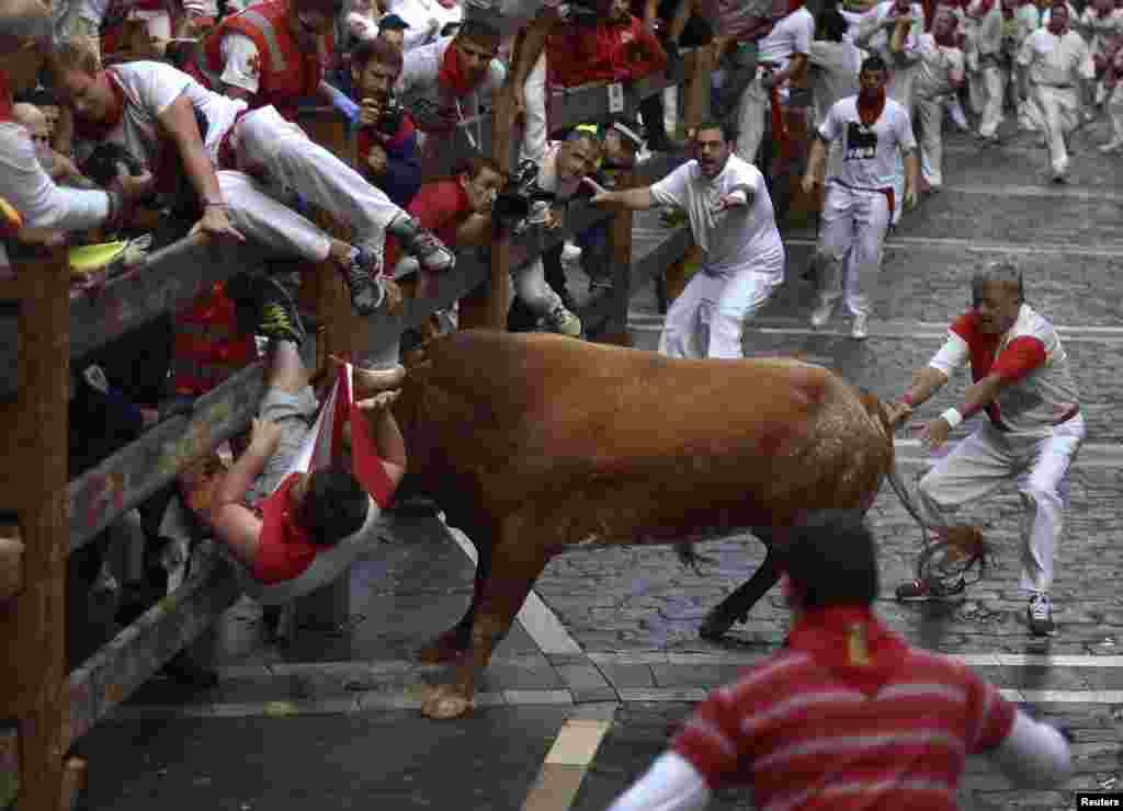 A runner is gored by a Miura fighting bull at the Estafeta corner during the eighth running of the bulls of the San Fermin festival in Pamplona, Spain.