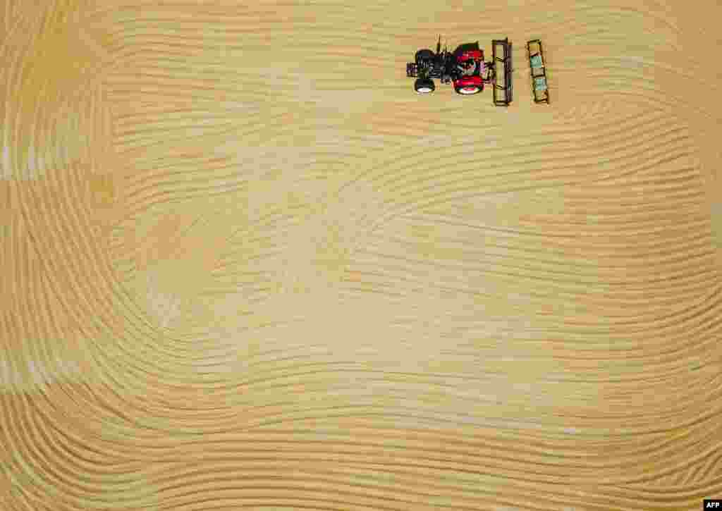 A farmer dries wheat with a tractor during harvest season in Lianyungang in China's eastern Jiangsu province.