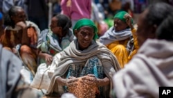 FILE - An Ethiopian woman scoops up grains of wheat after it was distributed by the Relief Society of Tigray in the town of Agula, in the Tigray region of northern Ethiopia, May 8, 2021.