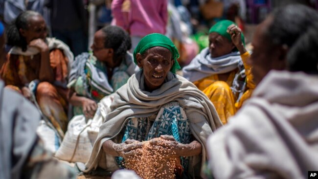 FILE - An Ethiopian woman scoops up grains of wheat after it was distributed by the Relief Society of Tigray in the town of Agula, in the Tigray region of northern Ethiopia, May 8, 2021.