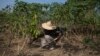 African Small Farmers Could Be Key to Ending Food Insecurity