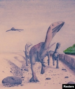 A watercolor illustration depicts the newly discovered dinosaur species Dracoraptor hanigani whose fossils were unearthed in Wales, in this handout image provided by Steven Vidovic, Jan. 20, 2016.