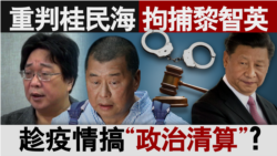 香港风云：重判桂民海、拘捕黎智英 趁疫情搞“政治清算”？