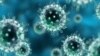 Prema zvaničnim podacima, od početka epidemije sredinom marta u Crnoj Gori je preminula 221 osoba pozivitna na koronavirus