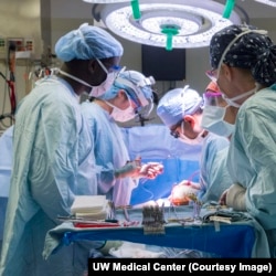 Dr. Jay Pal transplanting new heart at UW Medical Center, Seattle,WA. Sept. 16, 2015.The donated heart had traveled in the new box.