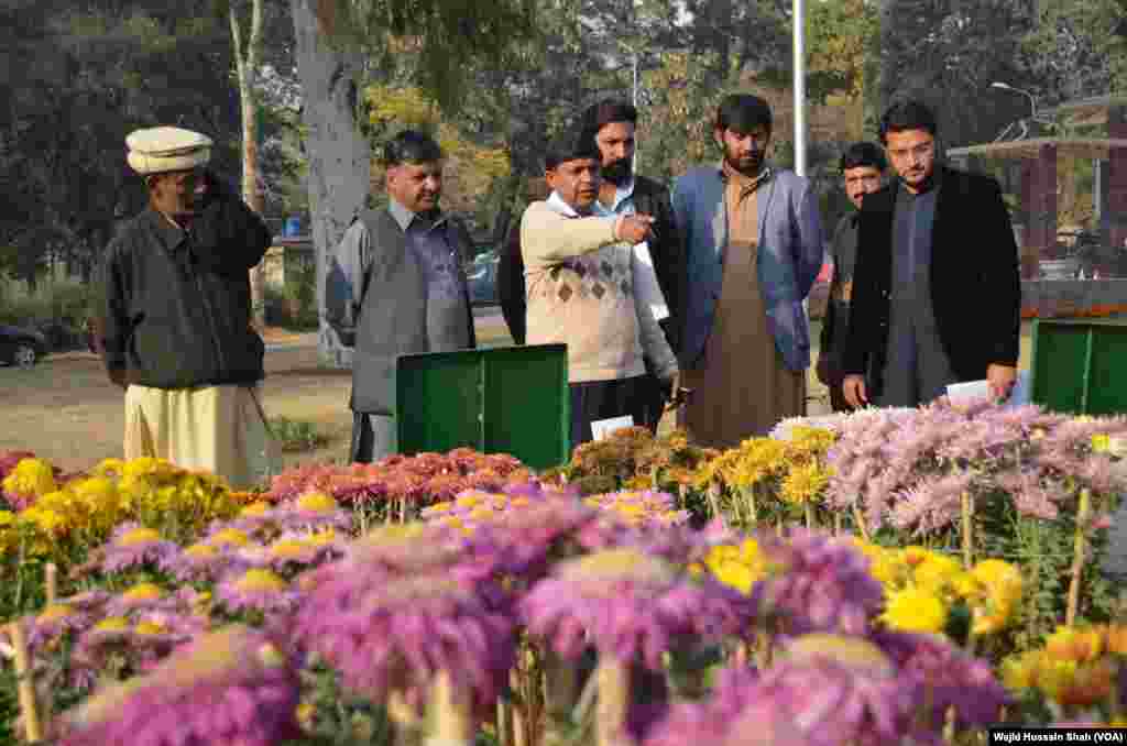 اسلام آباد میں گلاب و چنبیلی باغ (روز اینڈ جیسمین گارڈن) میں گل داؤدی اور موسم خزاں کے پھولوں کی تین روزہ نمائش منعقد ہوئی۔