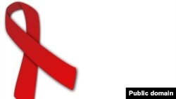 Alamar HIV 