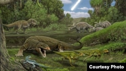 In the foreground, the carnivorous lizard Palaeosaniwa stalks a pair of hatchling Edmontosaurus as the snake Cerberophis and the lizard Obamadon look on. In the background, an encounter between T. rex and Triceratops. (Handout - Artwork by Carl Buell)