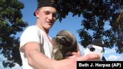 This Dec. 29, 2013 photo shows Nathaniel Harpaz, a tourist from New York City, holding a sloth in Puerto Alegria on the Peruvian side of the Amazon, just across the river from Colombia. 