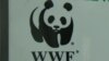 Le WWF accusé de complicité d'abus contre des Pygmées au Cameroun