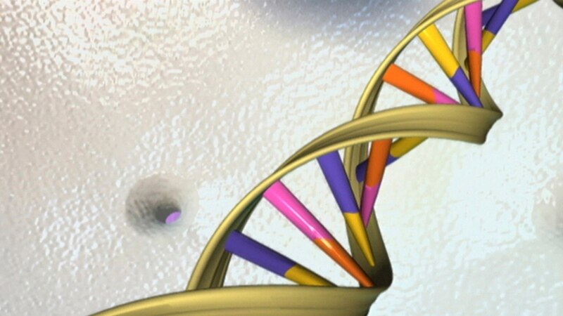 Human Genome Project Helps Drive COVID-19 Research