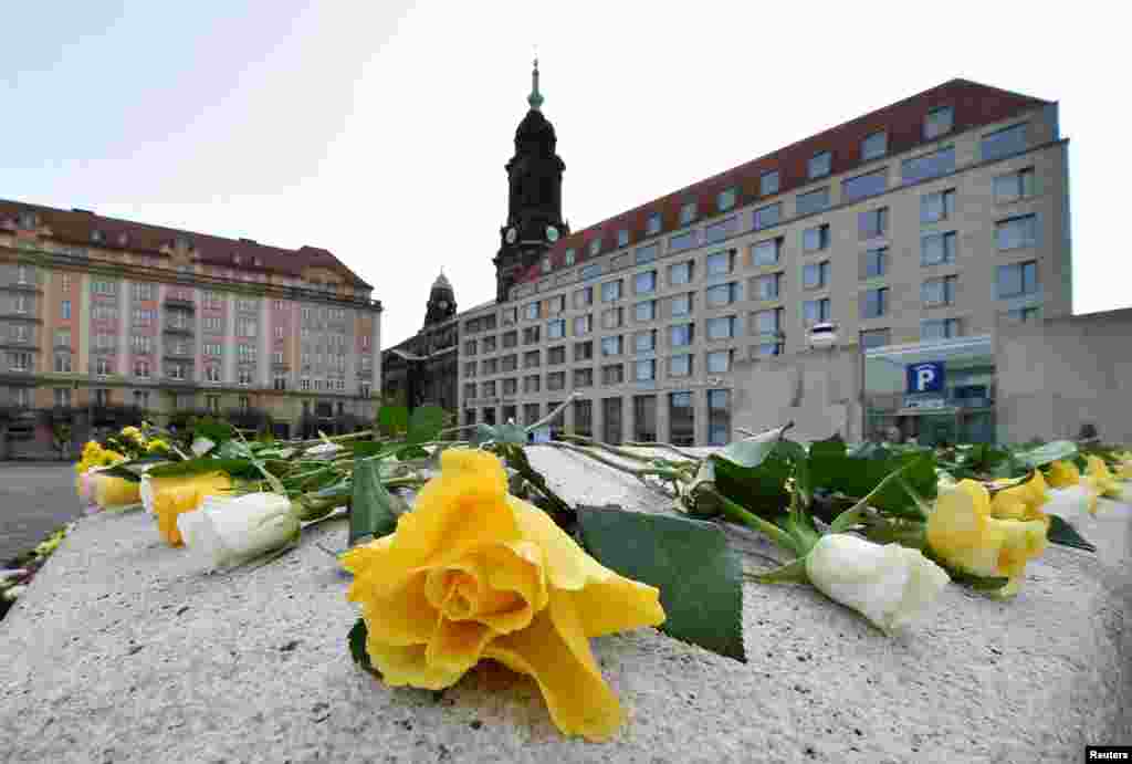 قرار دادن گل بر روی سنگ یادبود قربانیان بمباران در جنگ جهانی دوم در درسدن، آلمان
