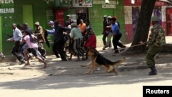A policeman uses a dog to disperse rioters during the second day of skirmishes in the Eastleigh neighbourhood of Kenya's capital Nairobi, November 19, 2012. 