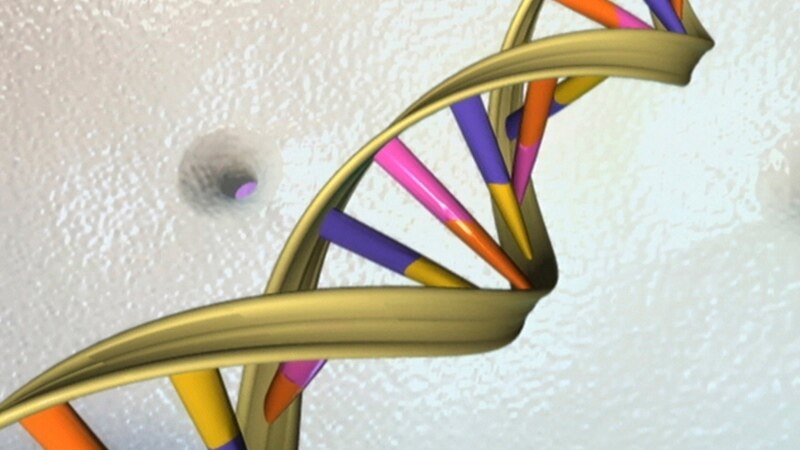 Story Behind DNA Double Helix Discovery Gets New Twist 