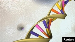 Ilustracija dvostrukog heliksa Nacionalnog instituta za istraživanje ljudskog genoma. 
