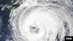 Satelit Aqua milik NASA menangkap gambar badai Talas di selatan Laut Pasifik yang akan melintasi selatan Jepang (1/9).