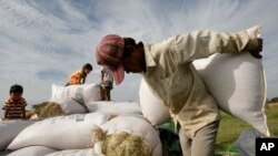 A man carries a sack of rices to dry under sunlight at a rice farm, as children play in the background, Kork Banteay village, Kandal province, Cambodia, file photo. (AP Photo/Heng Sinith)