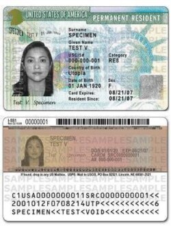 Contoh 'Green Card' AS. (Foto: Wikimedia Commons)