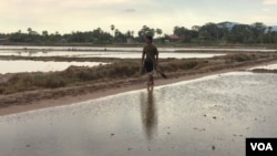 Hul San walks past his salt field in Kampot province, Toek Chhou district, on Wednesday 23, December 2015. (Phorn Bopha/ VOA Khmer)