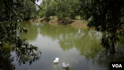 Trash is seen floating in a lake in Samrong commune in Svay Rieng province’s Chantrea district, Cambodia, July 18, 2017. (Sun Narin/VOA Khmer)