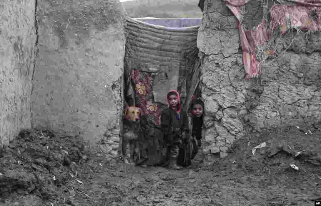 Afghan boys, displaced from their homes, peer out of their family&#39;s temporary home, on the outskirts of Kabul, Afghanistan.