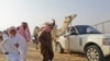 In the UAE, a Camel Contest Celebrates Desert Culture