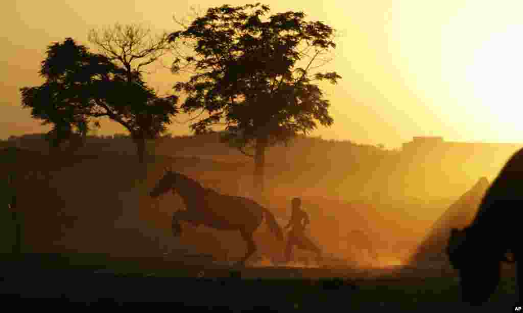 A Pakistani youth runs after his horse along a field as the sun sets on the outskirts of Islamabad, Pakistan.