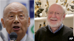 El japonés Takaaki Kajita y el canadiense Arthur B. McDonald han sido los ganadores del Premio Nobel de Física 2015.