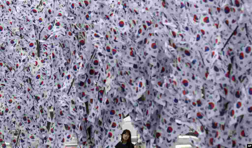 A woman looks at South Korean national flags hanging on trees in downtown Seoul, to celebrate the upcoming 70th anniversary of Independence Day.