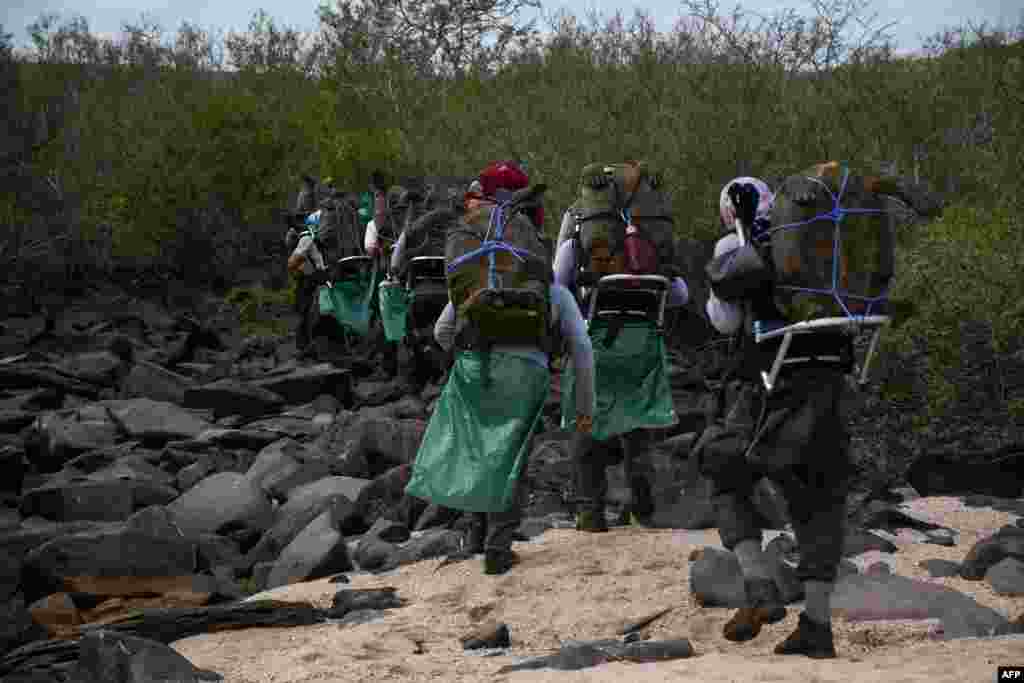 In this handout picture released by Parque Nacional Galapagos (Galapagos National Park), park rangers move chelonidis hoodensis turtles before being released in the area called Las Tunas, 2.5 km from the coast of Espanola Island in the Galapagos archipelago, Ecuador, June 15, 2020.