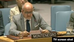 Crnogorski ministar vanjskih poslova Srđan Darmanović obraća se Savjetu bezbjednosti Ujedinjenih nacija, 28. jun 2017
