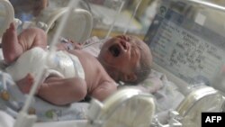 FILE - A newborn, one of 12 babies born by C-section, cries inside an incubator at the Bunda Hospital in Jakarta, Indonesia, Dec. 12, 2012. 