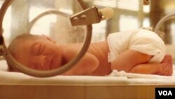 Les bébés qui survivent à une naissance précoce ont souvent des problèmes de respiration et de la paralysie cérébrale , entre autres problèmes .