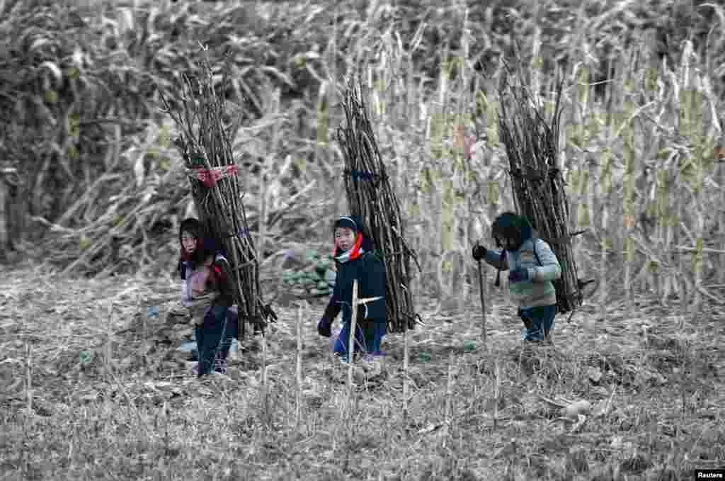Tiga orang gadis Korea Utara membawa kayu bakar pada punggung mereka saat menyusuri sungai Yalu dekat kota Sinuiju, dekat perbatasan China. 